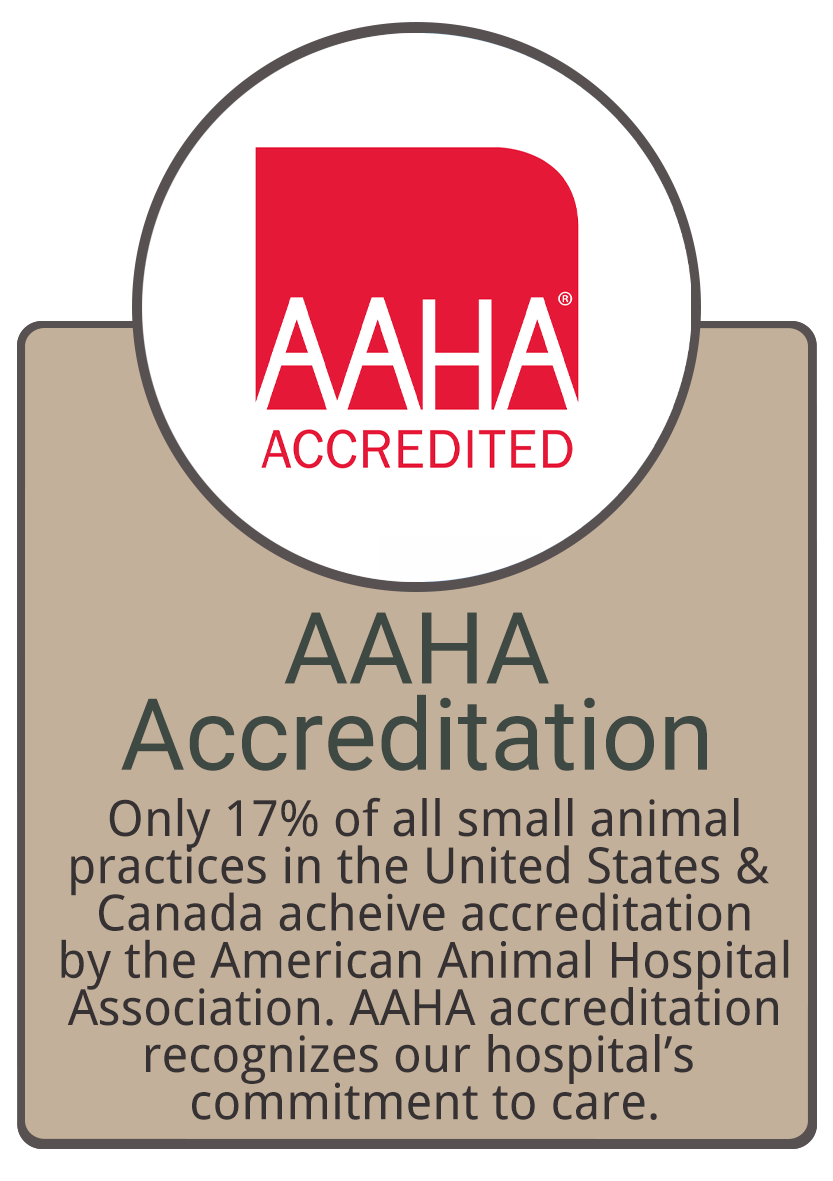 AAHA Accreditation