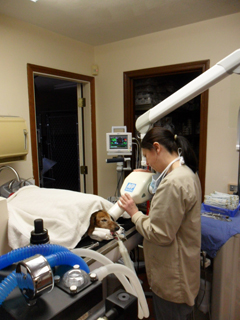 Dental Cleaning Dental Cleaning